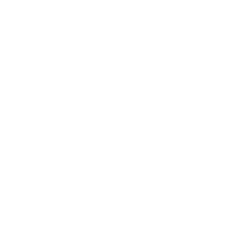 amic